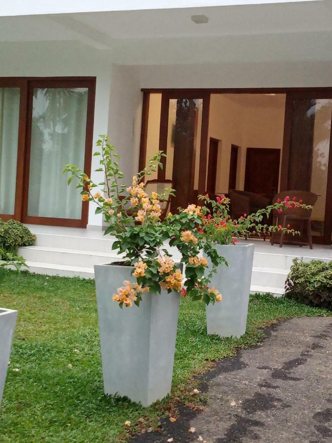Colibri Villa Maggona Ngoại thất bức ảnh