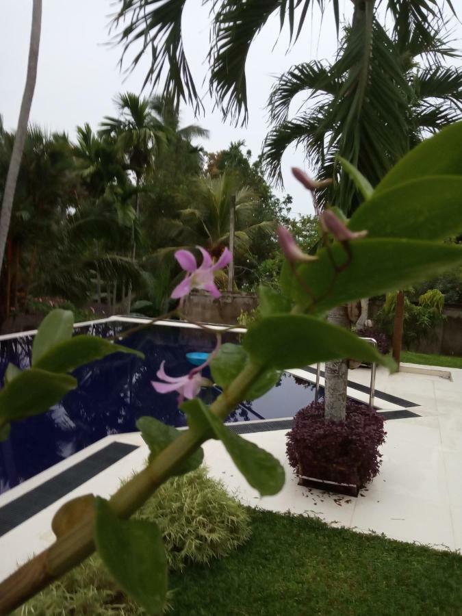 Colibri Villa Maggona Ngoại thất bức ảnh